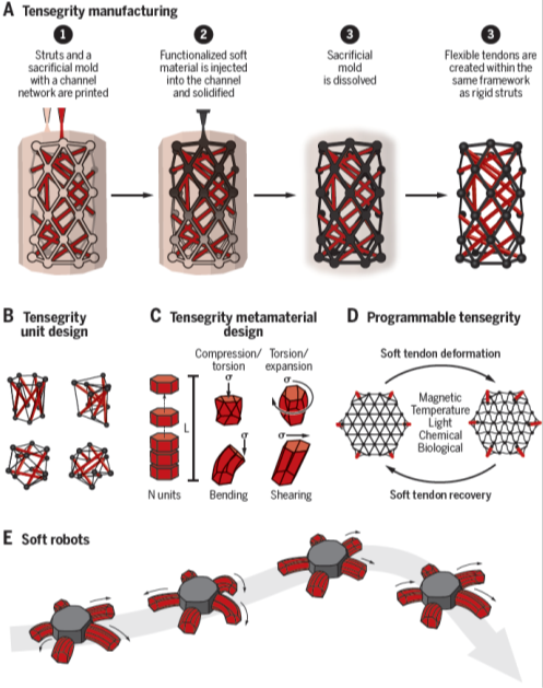 6C3A6F733C071CE71ADAF2C2B0B_7C642302_385E5